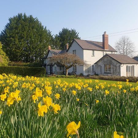 Lower House B&B Adforton Leintwardine ภายนอก รูปภาพ