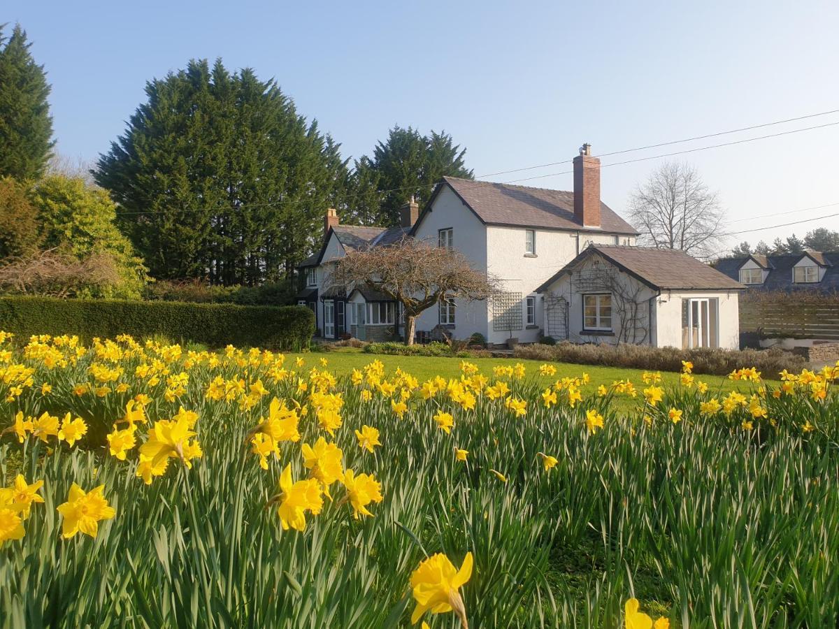 Lower House B&B Adforton Leintwardine ภายนอก รูปภาพ